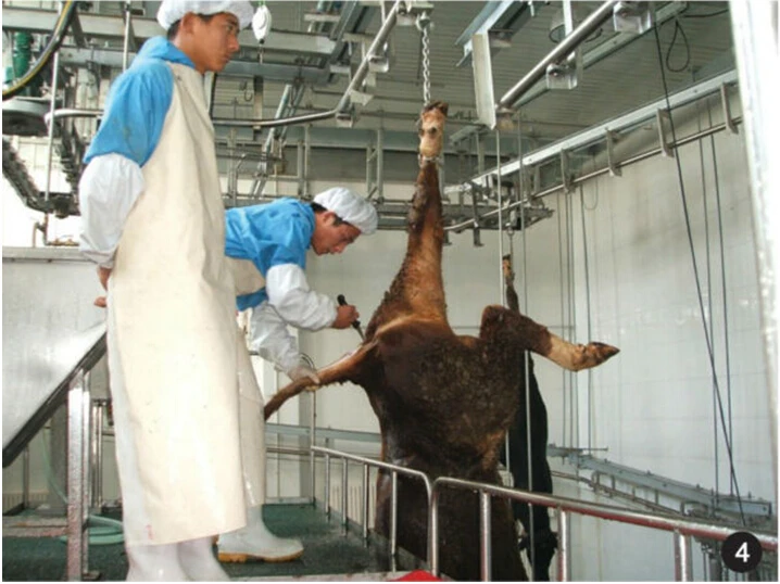 Specially designed halal cattle slaughtering production line with bone removal cutting machine for cattle slaughtering slaughterhouse