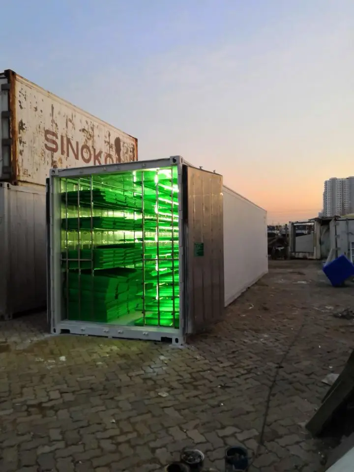 Container Type Automatic Barley Green Grass Hydroponic Fodder Solutions Price