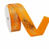 Orange-2,5 cm, 10 ans par rouleau