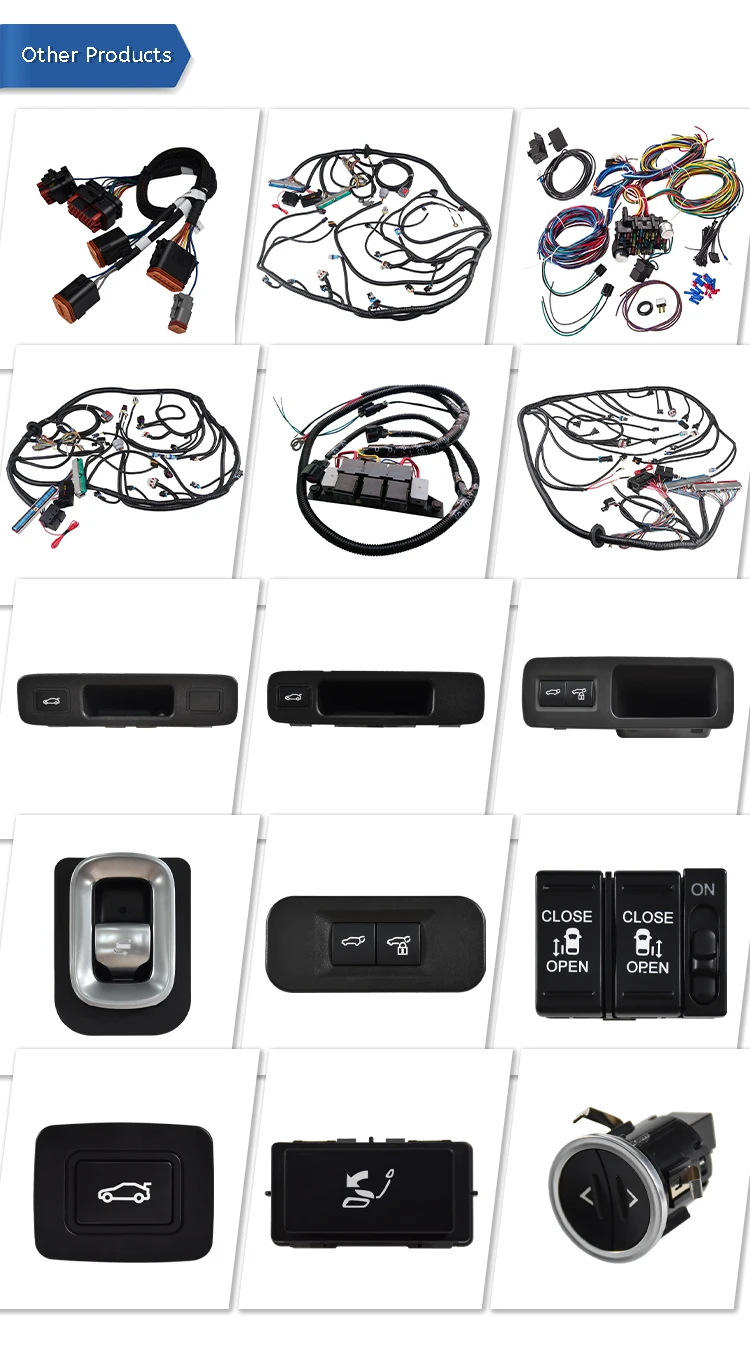 Engine Wiring Harness Professional 4l60e Standalone Wiring Harness