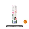 B00169 Toilet Brush