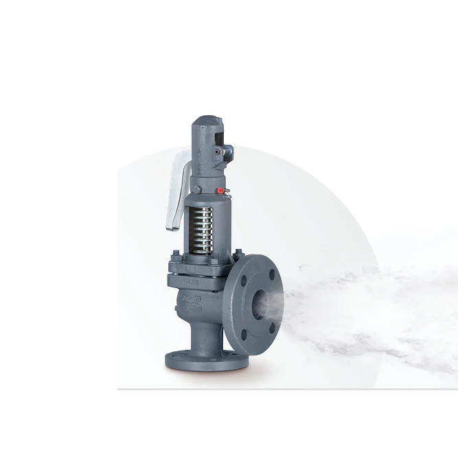 SAFETY VALVE 496 AP Series Manual Power Cast Iron Gas Safety Valve for General Application Saturated Steam Custom Valves
