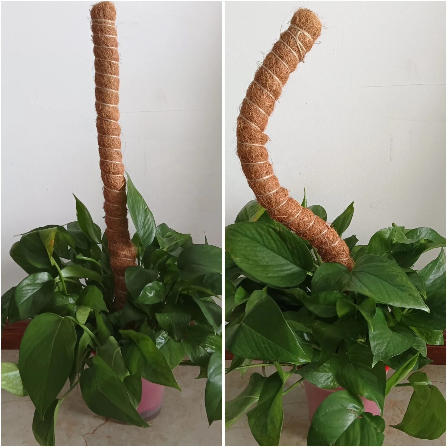 DIY Shape Bendable Moss Pole Plants Monstera Bendable Tall Coco Coir Plant  Support Pole for Climbing Plants