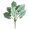 7 forchette di foglie di taro colorate
