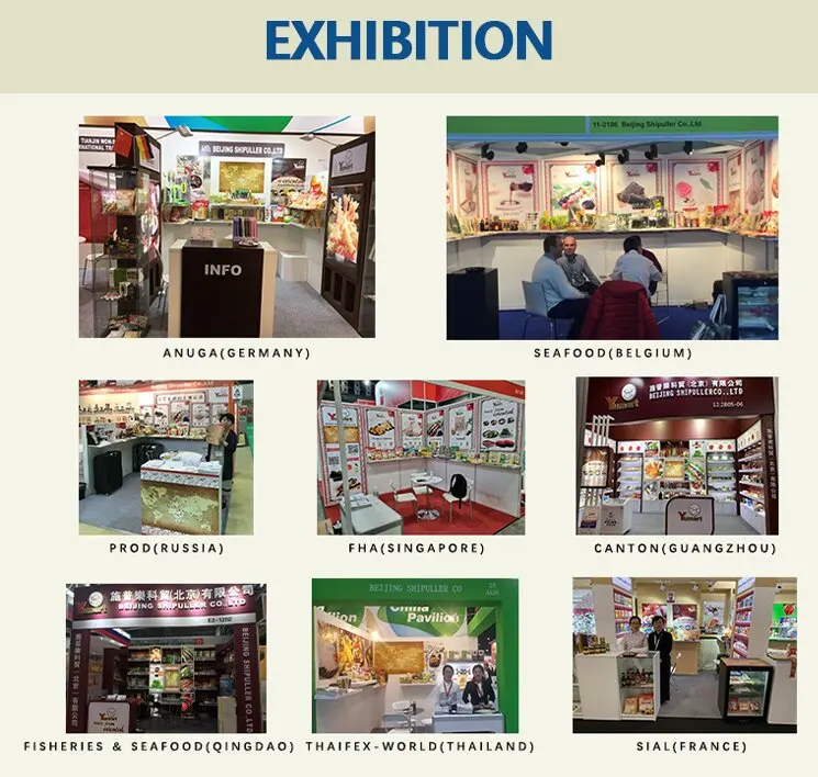 Panko Manufacturer Wholesale Price Japanese Breadcrumbs White Panko Bread Crumbs for Baked and Fried Dishes Marinade