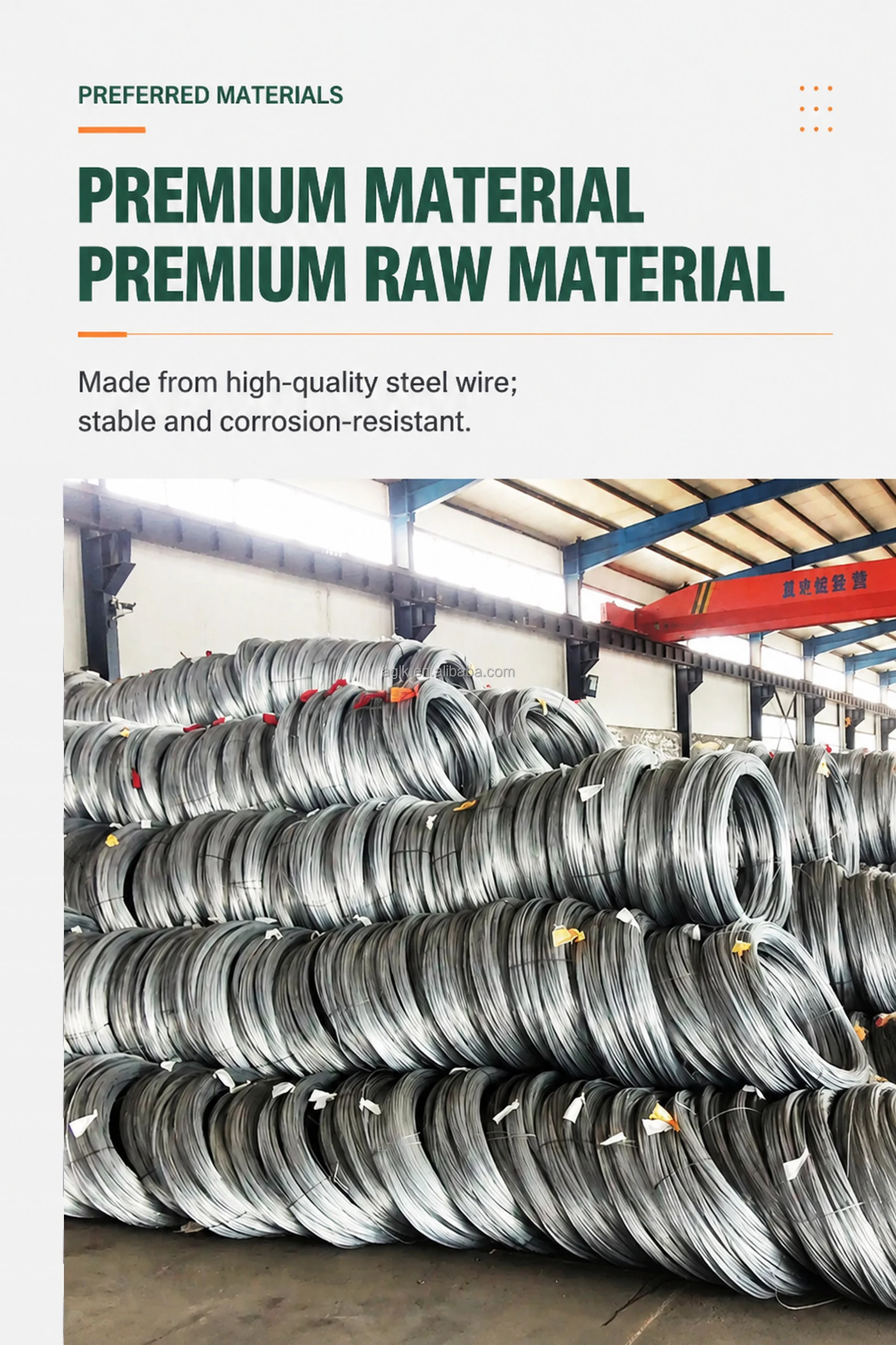 Galvanized Welded Wire Mesh Roll