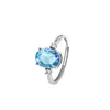 JH0451-3Topaz