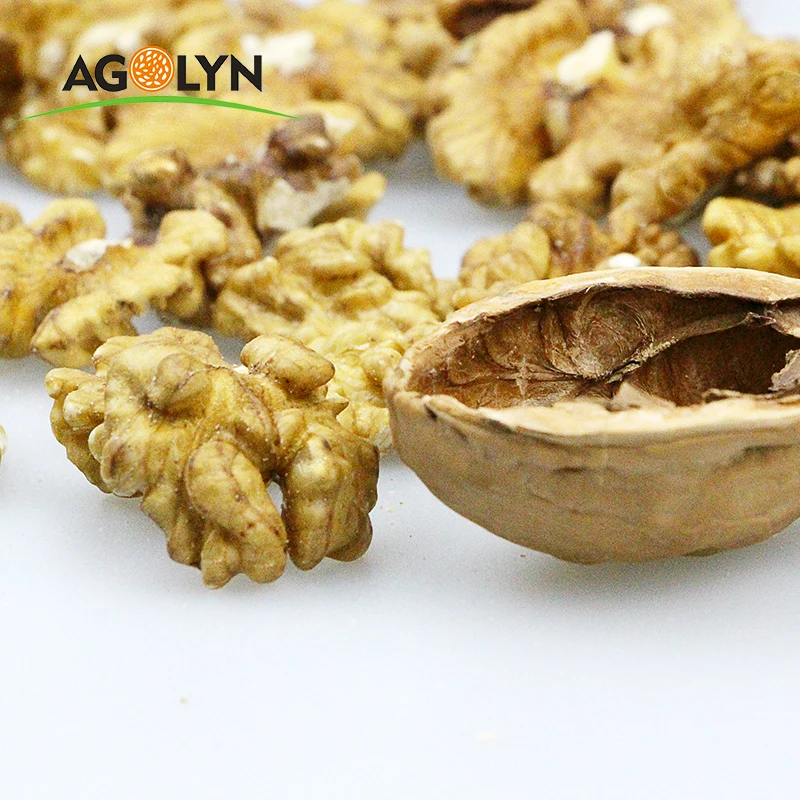 Chinese Hot Sale Best Quality White Dried Style Butterfly Walnut Kernel Supplier