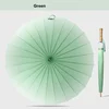 Green Light Forest Gradient