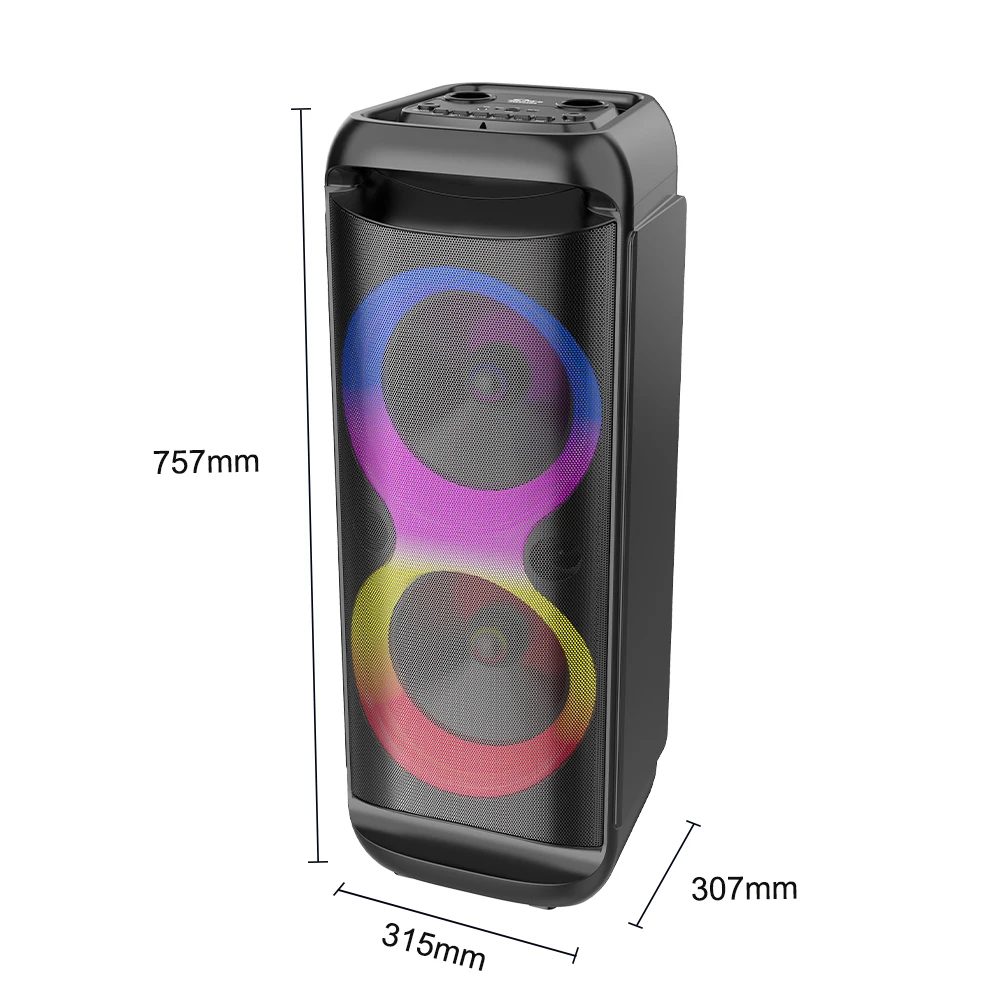 Professional Portable RGB Lamp Bluetooth Karaoke Speaker with