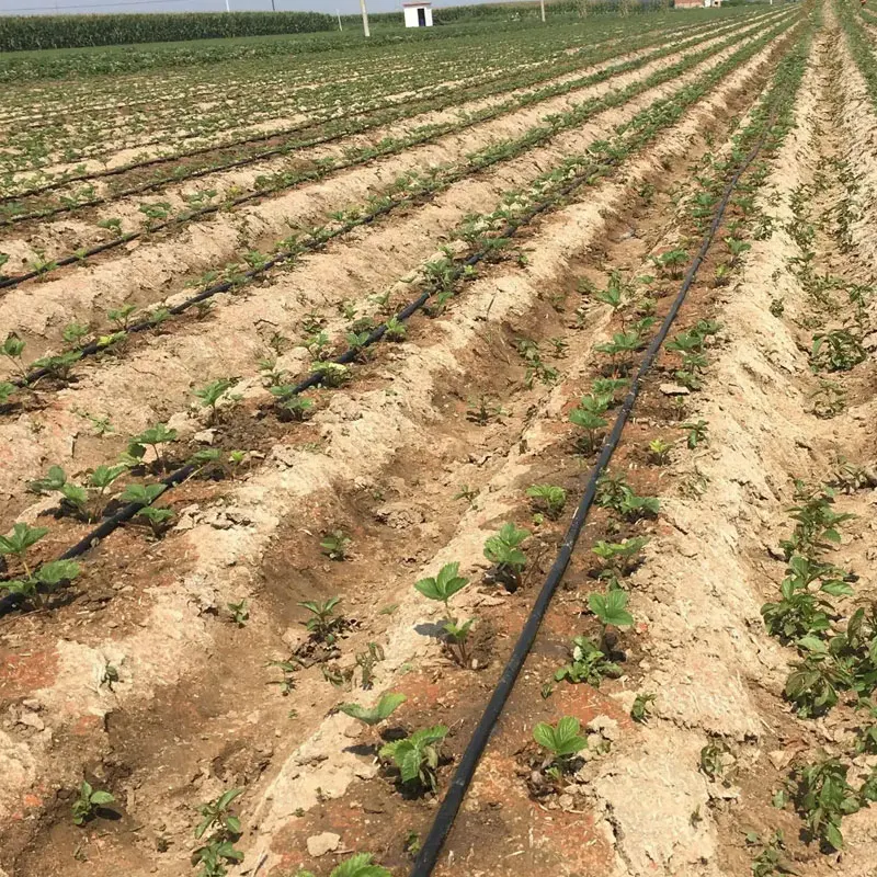1 Hectare Agricultural Drip Line Kit Fertilizer Injector Drip System System for Half Hectares Hose Belt Equipment 6 ha for Corn H35a4046c3ded4e66903c409966376fb9F