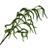 Caterpillar (light color)