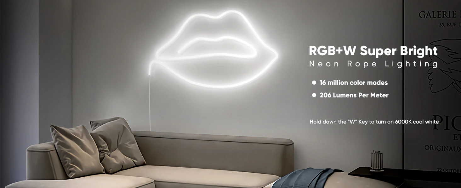MS-RGBCWNEON A+ (10)