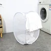 Square-mouth - White