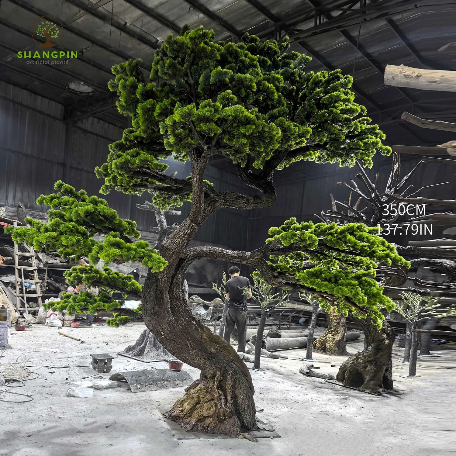 sakura bonsai samen Ahorn Samen Kaufen: Japanischer Fächerahorn main image 0