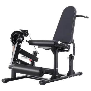 レッグエクステンションとカールマシンレッグカールマシンワークアウト