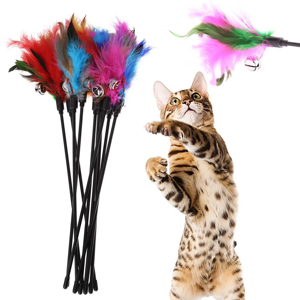 cat feather stick