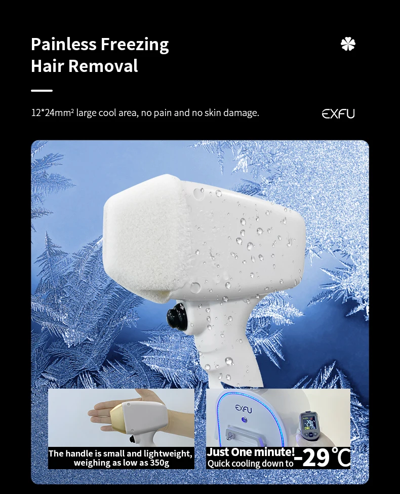Hairu様ご購入専用ページ Amazon | 【e-auto fun】12V専用バイク用 変換アダプタ AC/DC
