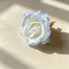 Rosa azul hielo triturado