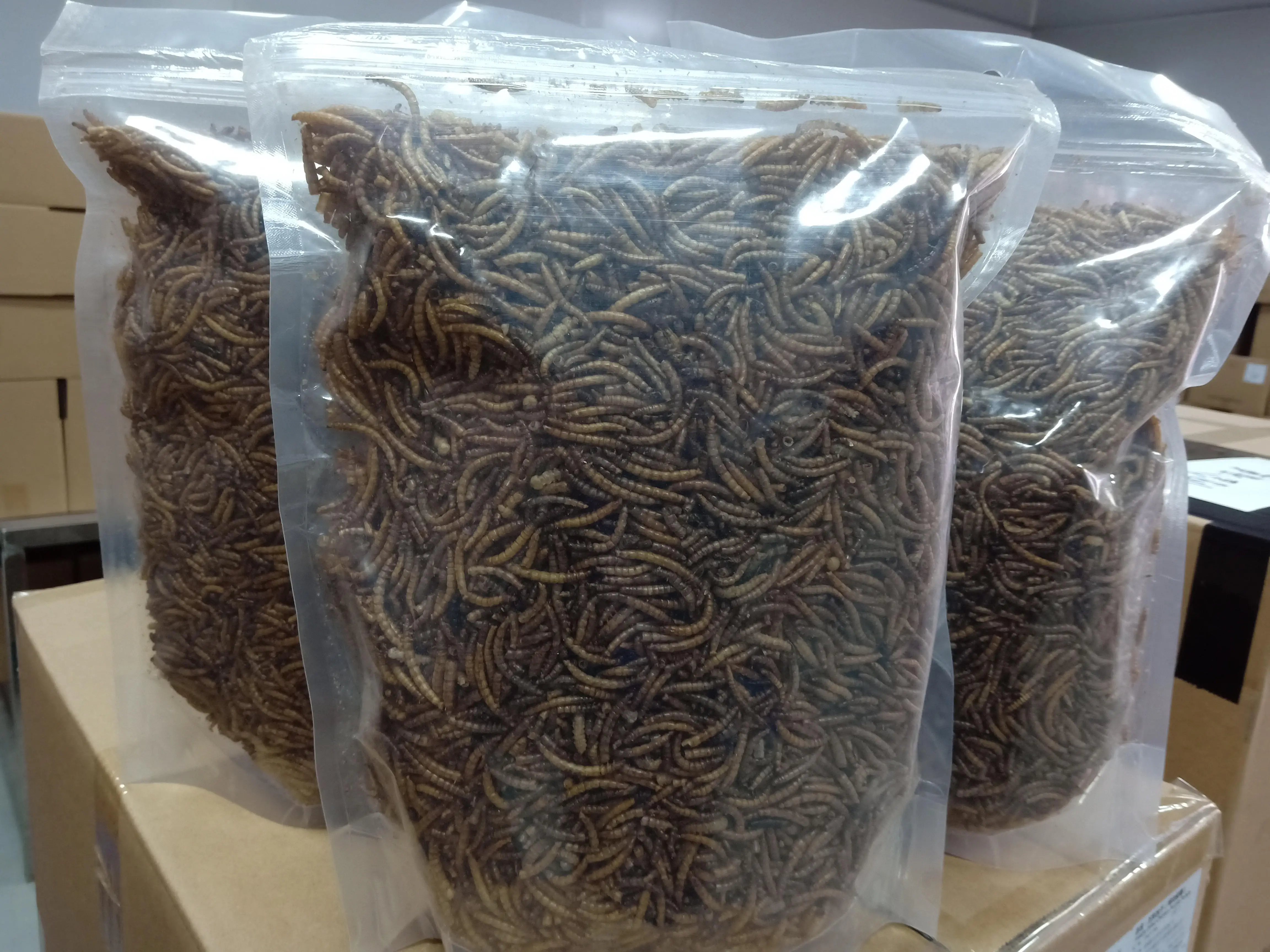 Freeze Dried Mealworm High Protein Dried Mealworm Buy Hunan Peto