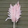 Pink 02