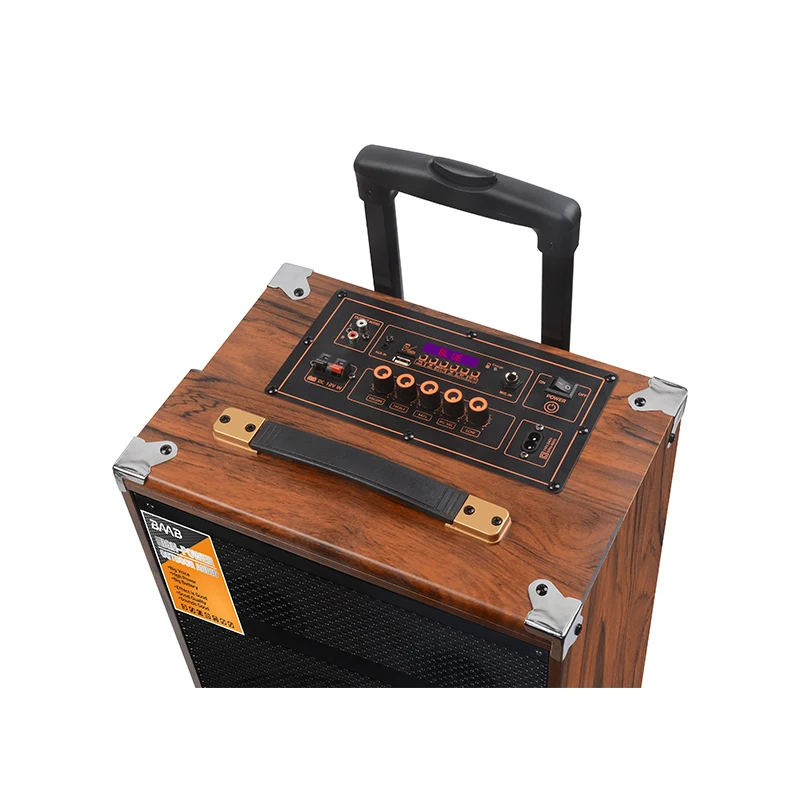 BAAB-Q8 8 Inch Mini Portable Karaoke Subwoofer Wireless Trolley Speaker with Powerful Bass and Microphone Trolley TWS  BOX AUDIO