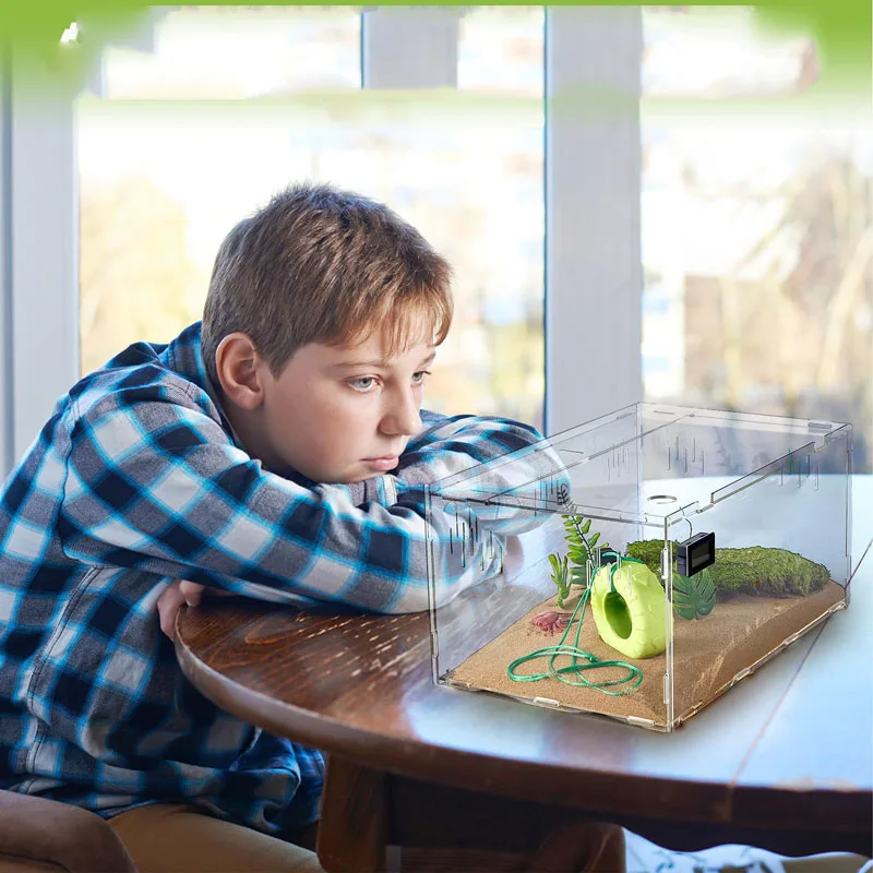 Acrylic Reptile Terrariums Tarantula Enclosure Hermit Crab Tank Cage