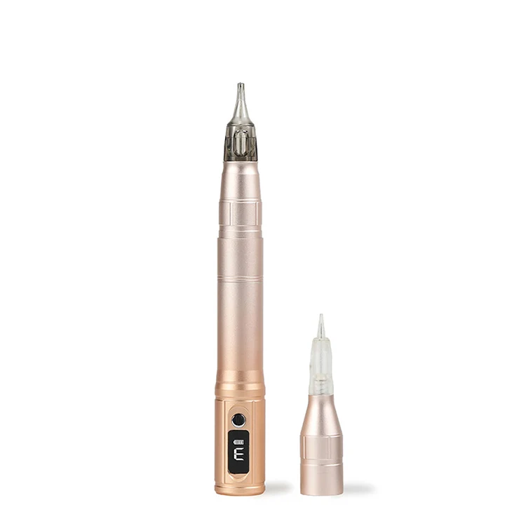 SD Enriching Beauty Digital Permanent Makeup Machine Pen for Tattoo Pen  Kits Cartridge Needles Permanent Tattoo Kit Price in India - Buy SD  Enriching Beauty Digital Permanent Makeup Machine Pen for Tattoo