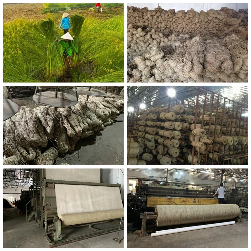 Natural Fiber Wall to Wall Seagrass Carpet Sea Grass Carpet Roll Floor Covering for Home Hotel Resort