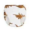 Brown dragon