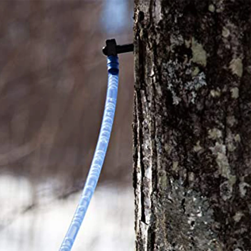 Dd1095 12pcs Sugaring Starter Dropper Tubing Collection Extractors For