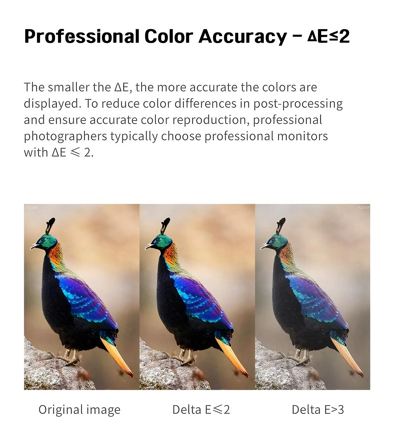 TCOLOR Pro Studio Display 6K Monitor 32 Inch Ultra-thin Vertical