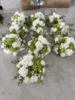 30 cm verde e bianco