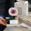 Sfumatura rosa e viola