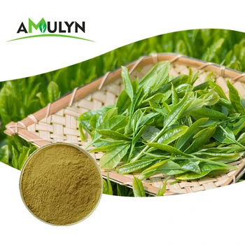 Amulyn Bulk Leisure Drink Green Tea Extract Matcha Powder for Longevity