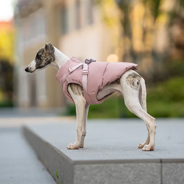 New Design Winter Dog Jacket windproof large pet harness vest durable dog hunting coat