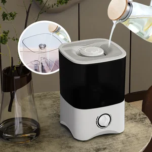 Top Filling Water Cheap 5L Office Kids Gift Home Appliance Humidifier Ultrasonic Air Humidifier