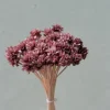 rose kaki