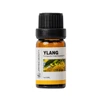 Ylang