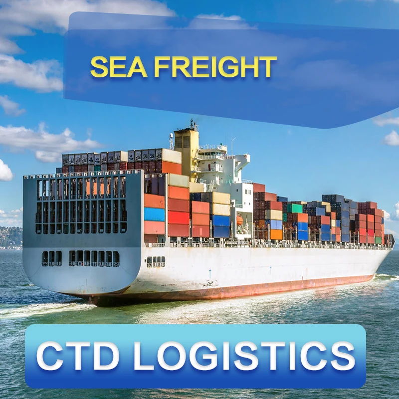 FCL/LCL Sea Shipping Freight Forwarder Ocean Shipping Agent From China Ocean Shipping Freight to Port Kelang/Penang/Pasir Gudang