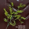 hierba centenaria