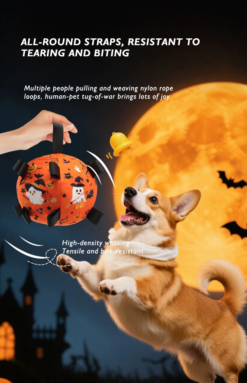 New Halloween Dog Toy Ball Dog Outdoor Football Toy Grinding Teeth Bite Relief Electric Bell Ball manufacture