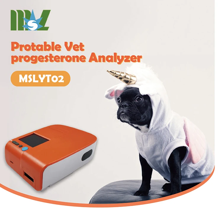 MSLYT02 - .jpg