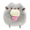 Gatto dei popcorn