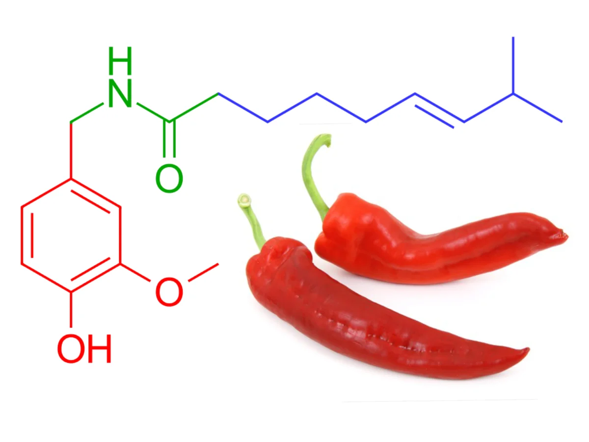 High Purity Raw Material  Capsicum Extract Powder Synthetic Capsaicin Powder Pure Capsaicin