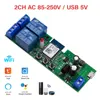 Tuya 2-Channel 220V + 433MHz (Bare Board)