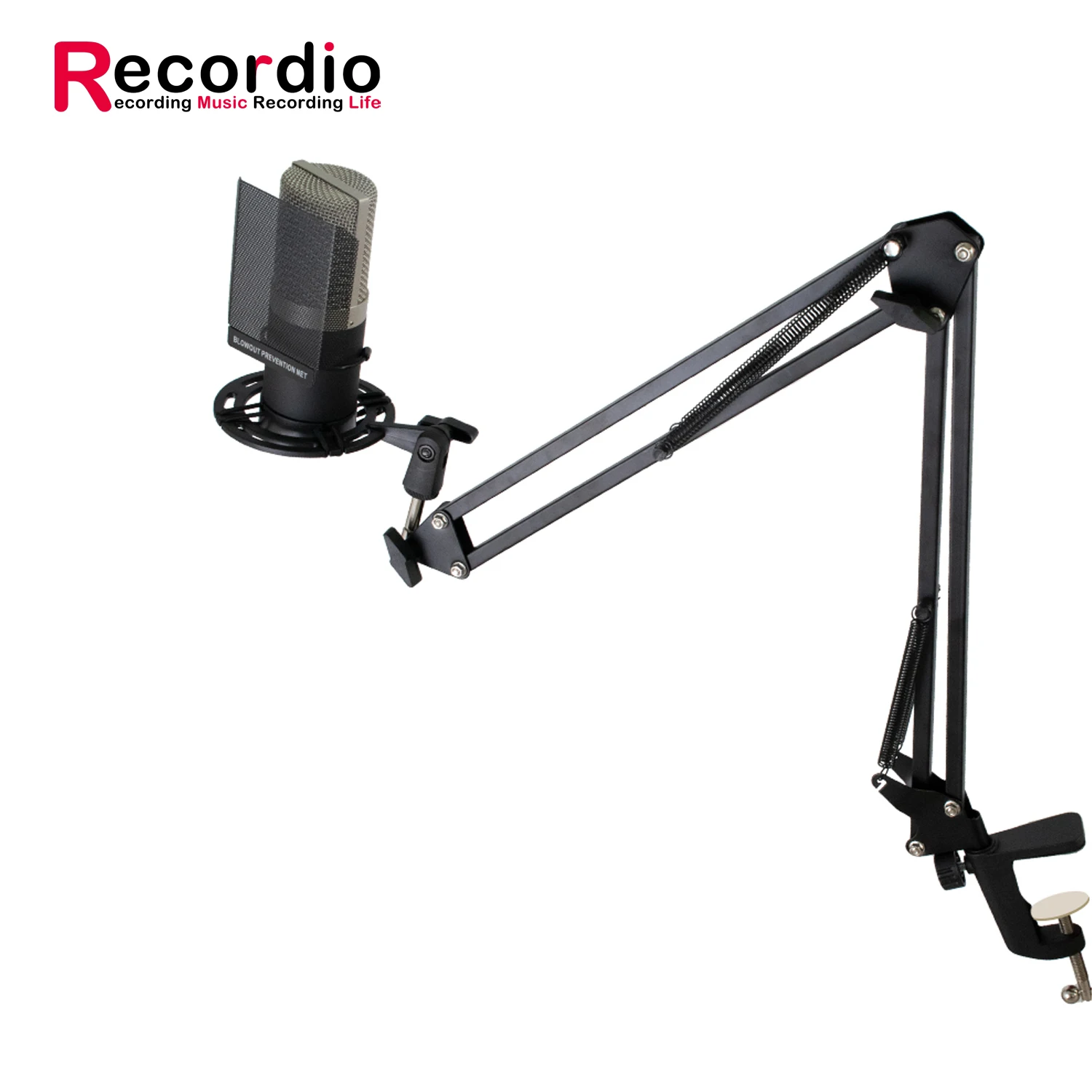 GAM-ZX797 Studio Recording XLR Condenser Microphone with Cable