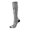 Chiot de Noël gris