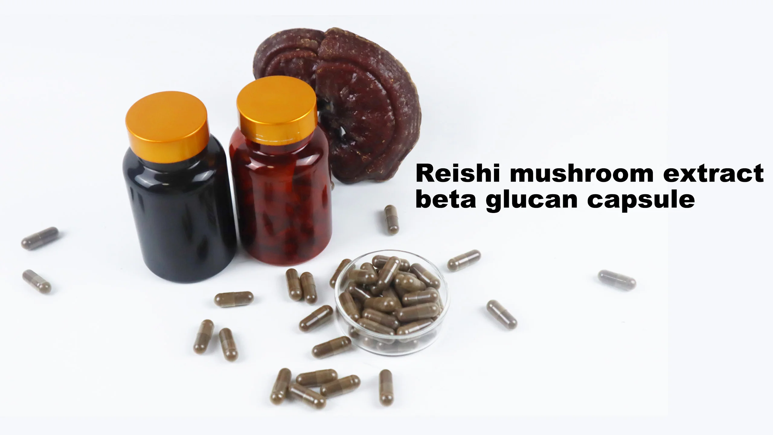 Manufacturer Direct Supply Red Reishi Mushroom Extract Powder Wholesale