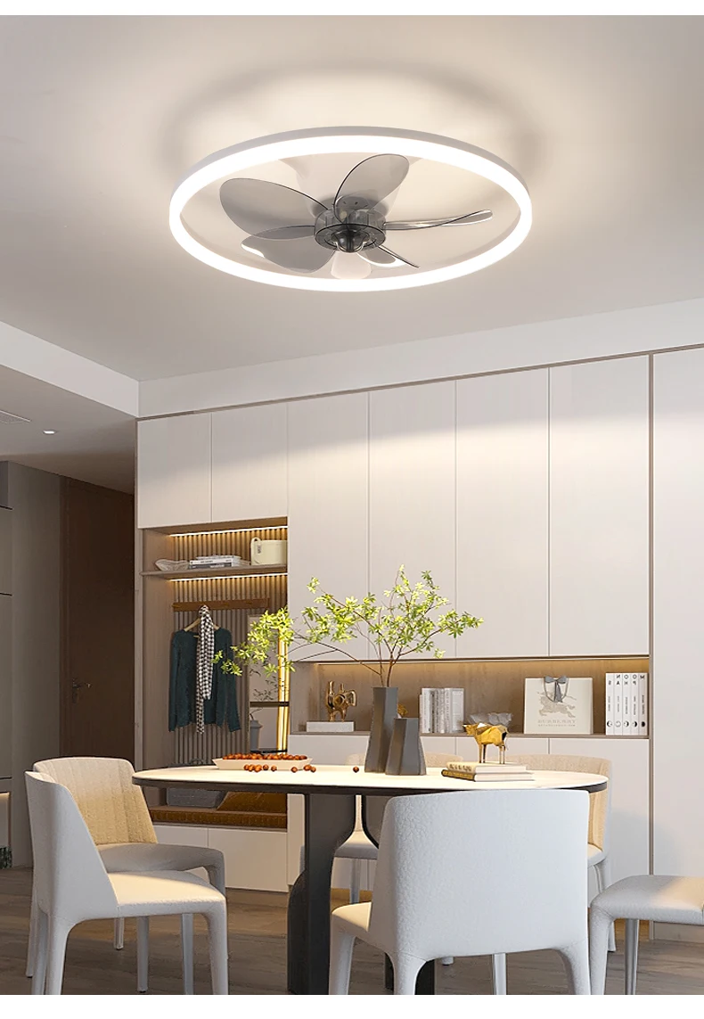Ceiling Fan, LED, APP, BLDC - detail 2